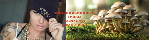 марки lsd Зеленокумск