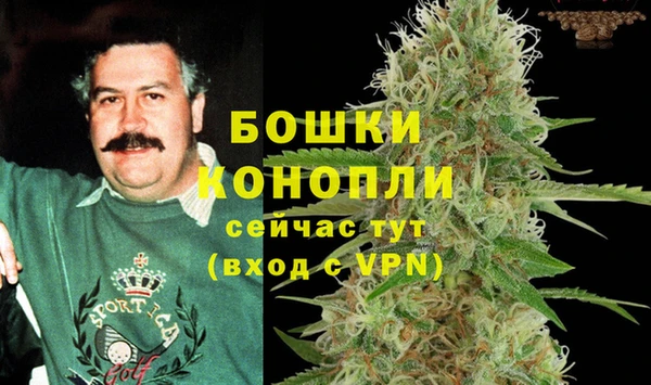 каннабис Инта