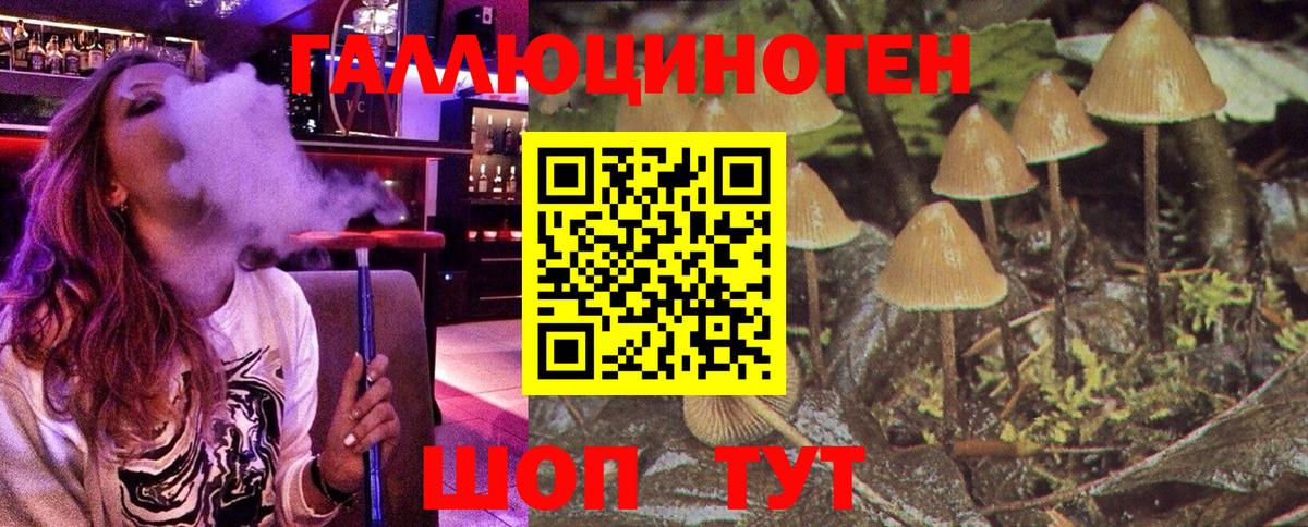Холмск  Галлюциногенные грибы Magic Shrooms  Вход с VPN  Псилоцибиновые грибы прущие грибы 