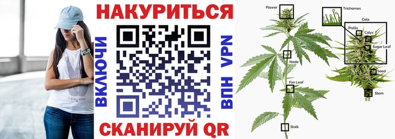 магазин  наркотиков  Холмск  omg ссылка  МАРИХУАНА THC 21% 